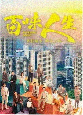雾港档案 国产悬疑剧全集在线观看